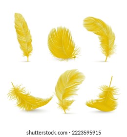 Vector 3d Realistic Yellow Fluffy Feather Set Isolated on White Background. Design Template of Flamingo, Angel, Bird Detailed Feathers. Lightness,Freedom Concept