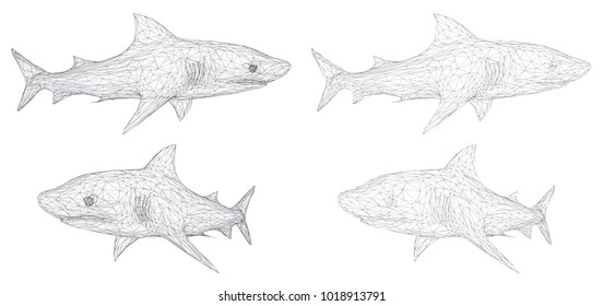 vector 3d shark from a triangular grid. predator isolated on white background