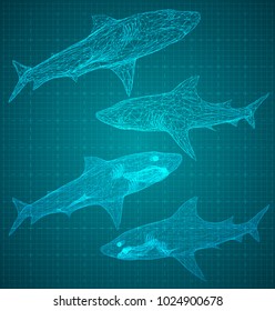 vector 3d shark from a triangular grid. predator  on blue background