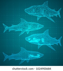 vector 3d shark from a triangular grid. predator  on blue background