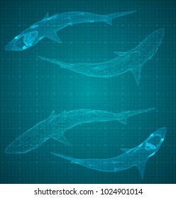 vector 3d shark from a triangular grid. predator  on blue background