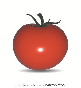 Vector 3d tomato icon 2024