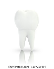 vector 3d tooth for dental medicine. isolated on a white background