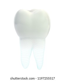 vector 3d tooth for dental medicine.volume polygonal mesh, printing on a 3D printer. isolated on a white background