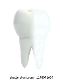 vector 3d tooth for dental medicine.volume polygonal mesh, printing on a 3D printer. isolated on a white background
