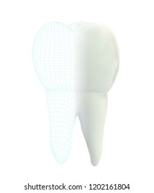 vector 3d tooth for dental medicine.volume polygonal mesh, printing on a 3D printer. isolated on a white background