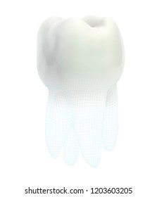 vector 3d tooth for dental medicine.volume polygonal mesh, printing on a 3D printer. isolated on a white background