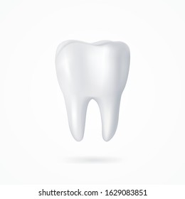 vector 3d tooth on white background for dentist business