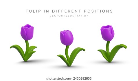 Vector 3D tulip in different positions. Spring flower in plasticine style