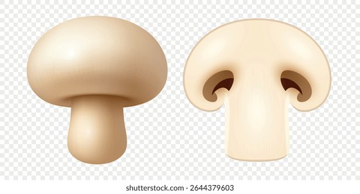 Vector 3d Whole and Sliced Champignon Mushroom Set. Realistic Fresh White Mushroom with Cut Section for Cooking Ingredient, Food Packaging, Grocery, Organic Product, Recipe, Culinary Illustration