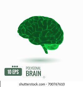 Vector 3D wireframe polygonal green brain graphic illustration side view glowing isolated on white background