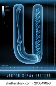 Vector 3D X-ray transparent alphabet use in logo or text. Letter U