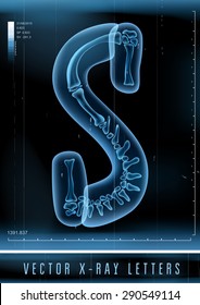 Vector 3D X-ray transparent alphabet use in logo or text. Letter S