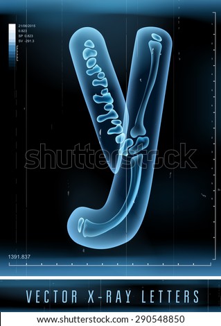 Vector 3D X-ray transparent alphabet use in logo or text. Letter Y