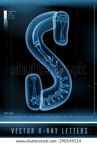 Vector 3D X-ray transparent alphabet use in logo or text. Letter S