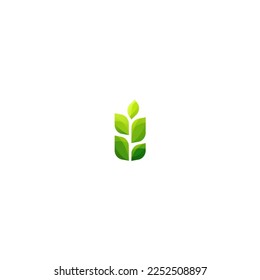 A vector of 5 leaves that can be used for many of your illustrations
