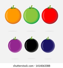 vector of 6 different colors of tomatoes on transparent background. Red, green, yellow and orange tomato collection.