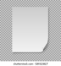 Vector A4 mockup isolated on transparent background.