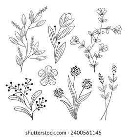 Vector sobre la colección de flores dibujadas a mano