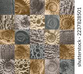 vector abstact seamless pattern background with sea stone texture with imprints of shells of ancient ammonite shells. Suitable for wallpaper design, wrapping paper, fabric, ceramic tiles