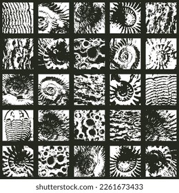 vector abstact seamless pattern background with sea stone texture with imprints of ancient ammonite shells. Suitable for wallpaper design, wrapping paper, fabric, ceramic tiles