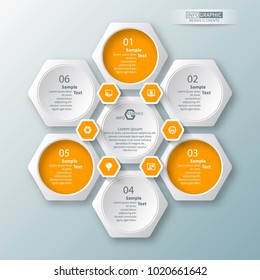 vector abstract 3d paper infographic elements.Hexagon infographics.Honeycomb design