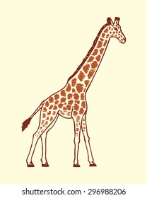 Vector abstract adult giraffe in motion on a white background.  giraffe drawn in vector