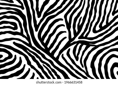 Antecedentes abstractos de animalismo vectorial. Ilustración a mano libre de la huella dactilar de cebra.