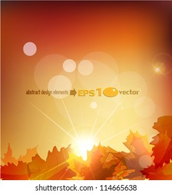 Vector abstract  autumn background with leafs and sun