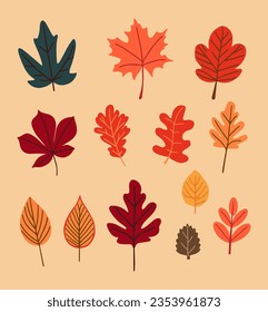 Vector abstract autumn set. Set of autumn decorative elements for your design.Vector illustration.