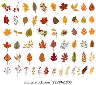 Vector abstract autumn set. Set of autumn decorative elements for your design.Vector illustration.