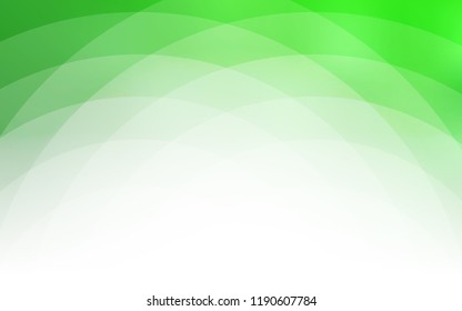 Vector abstract background. Backdrop with colorful gradient design. Template for your buisiness.