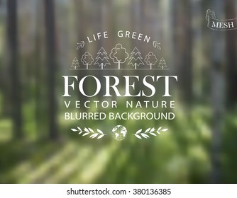 Vector abstract background for design. Ecology label. Eco design. Forest. Wood. Forest blurred background. Nature blurred background. Mesh blurred background. Template for poster.