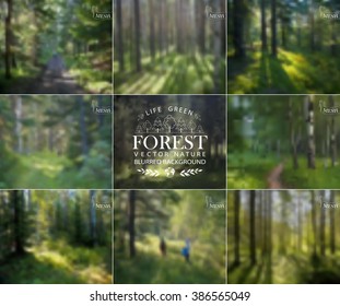Vector abstract background for design. Ecology label. Eco design. Forest. Wood. Forest blurred background. Nature blurred background. Mesh blurred background. Template for poster.