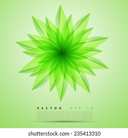 Vector abstract background flower. Brochure design templates collection green