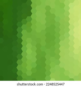 Vector abstract background. Geometric template for prizantation. Green hexagons.
