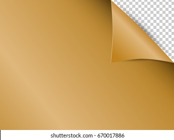 Vector Abstract background and gold paper transparent background