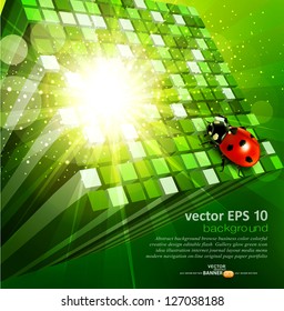 vector abstract background with green cubes and ladybug