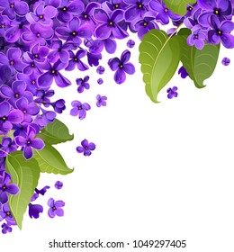 Curtido Curtir Compartilhar Floral Corner Design Purple Png Image Transparent Png Free Download On Seekpng