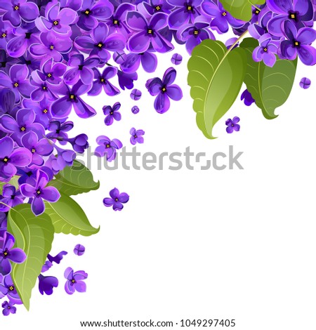 Vector abstract background of lilac flowers. A white square leaf from one corner is filled with leaves and small flowers of lilac.