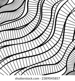 Vector abstract background of lines in black and white colors