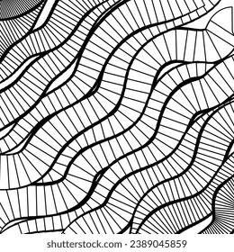 Vector abstract background of lines in black and white colors