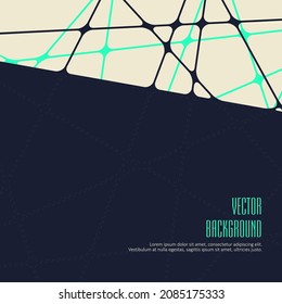 Vector abstract background network-spider web.