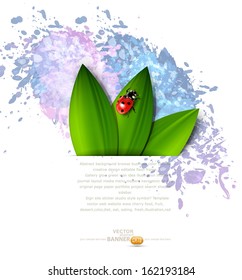 vector abstract background with splashes of paint, green leaves and ladybug