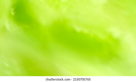 Vector abstract Background in watercolor style. Green color wallpaper with gradient for summer poster, banner. Blank template for summer and spring sale. Beautiful blurred backdrop EPS10