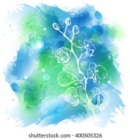 vector abstract background watercolor stylized with outline orchid branch. illustration. eps10.
