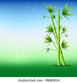 Vector abstract bamboo background. Eps10