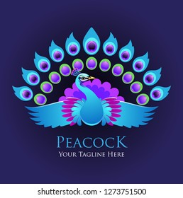 Vector abstract, beautiful peacock symbol