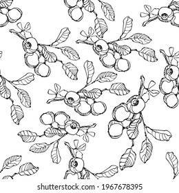 Vector Abstract black brush splash. Grunge brushstroke freehand ink decor. Blueberry Black and white engraved ink art. Seamless background pattern. Fabric wallpaper print texture.