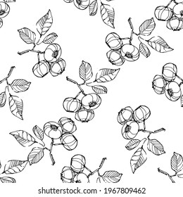 Vector Abstract black brush splash. Grunge brushstroke freehand ink decor. Blueberry Black and white engraved ink art. Seamless background pattern. Fabric wallpaper print texture.